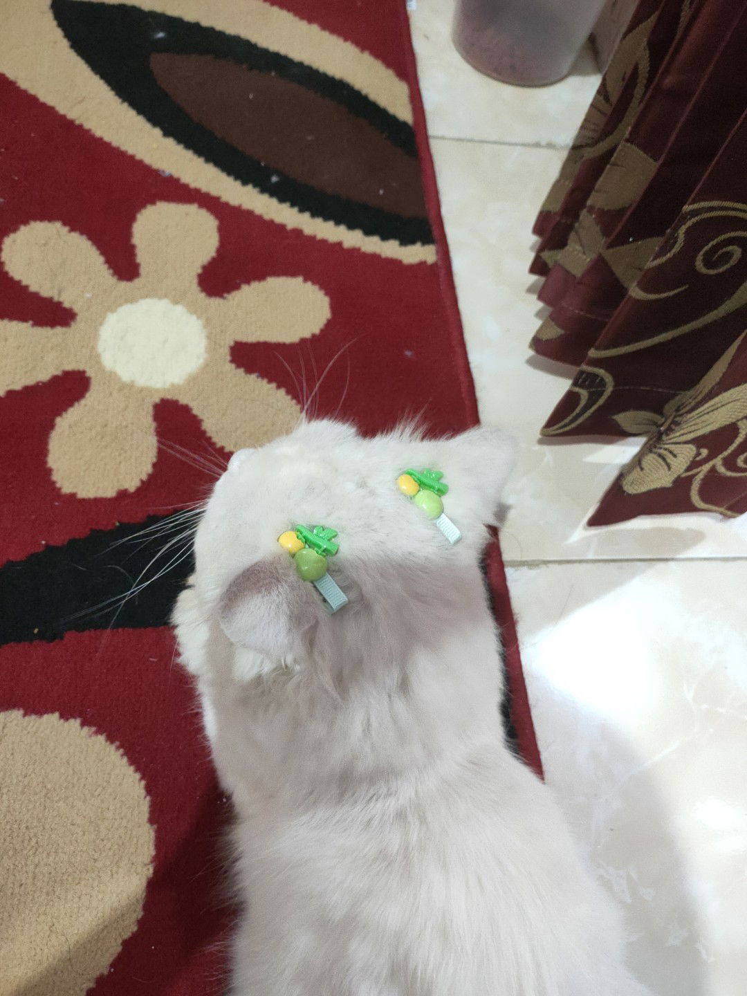 Diah Indah Rini profile icon