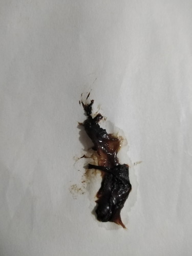 มีเหยื่อไหลออกมา