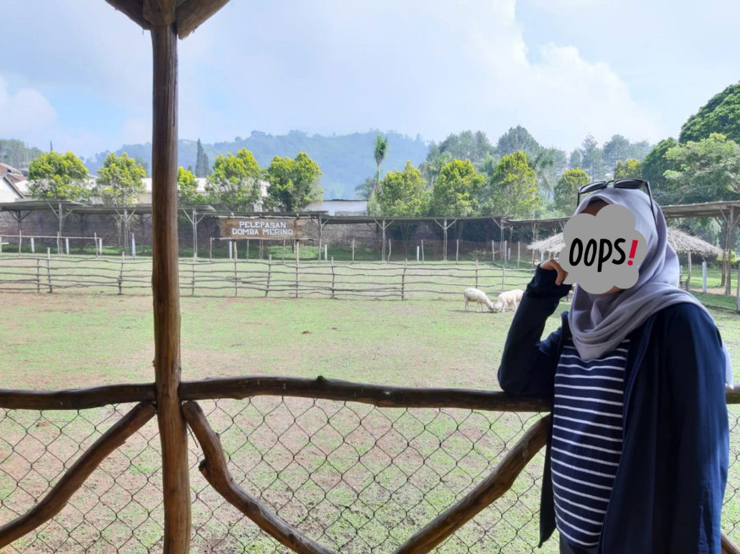 Sharing Ukuran Perut - Pentingnya Pemeriksaan Kehamilan