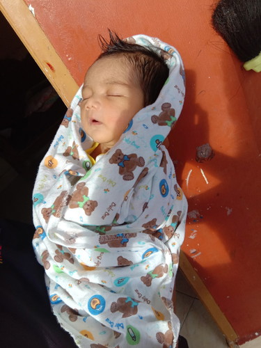 Umur 5 hari