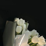 Dina Cantik profile icon