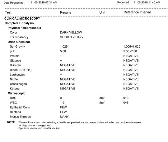 urinalysis result @ 28 weeks