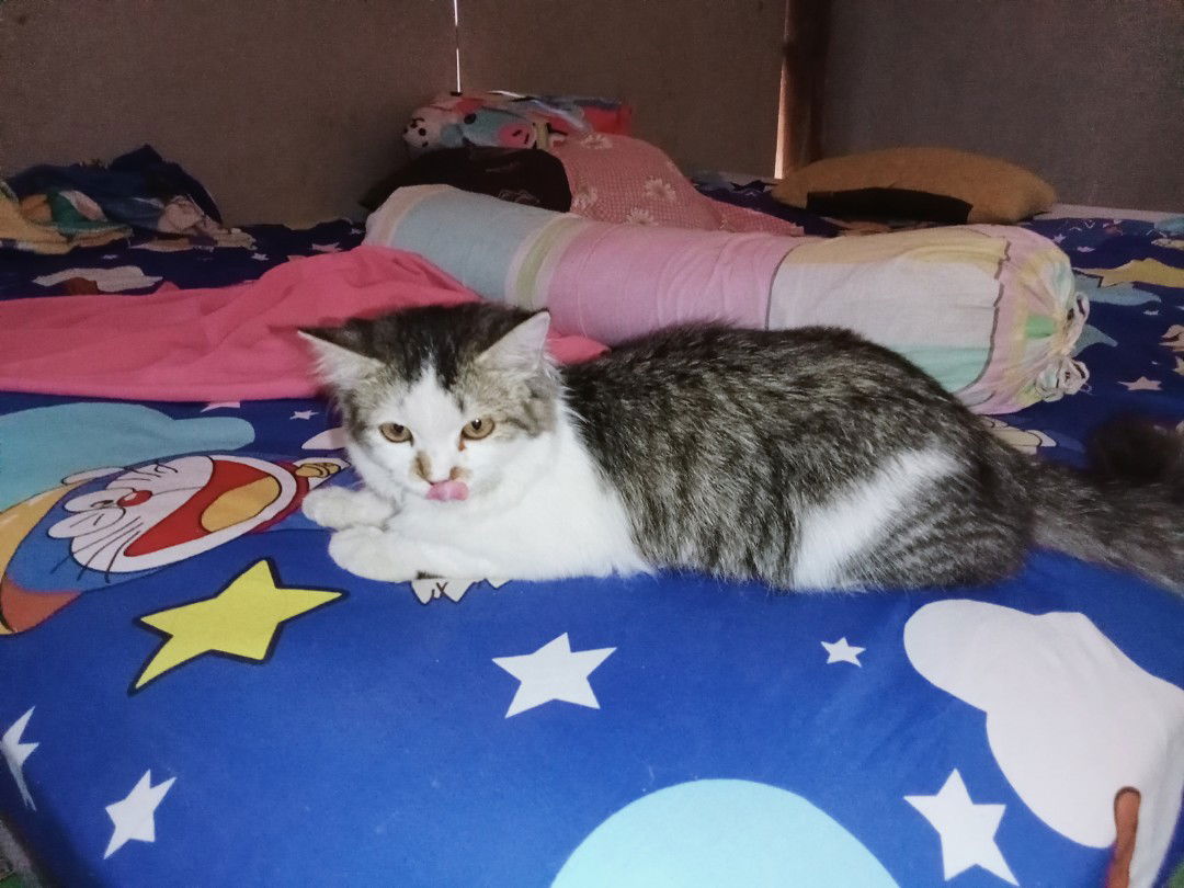 RISALAH profile icon