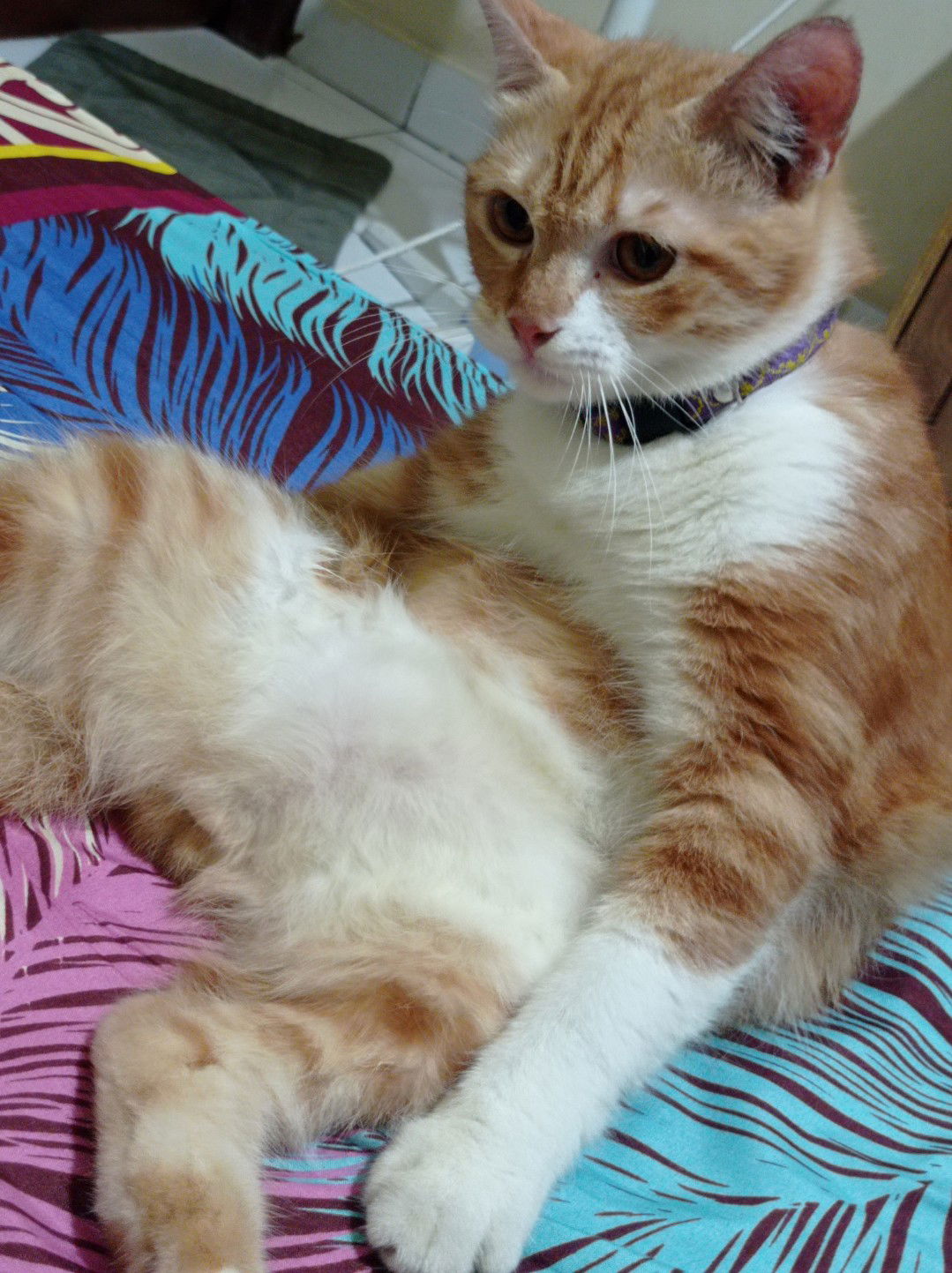 Desi Vhee profile icon