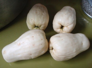 Jambu Susu