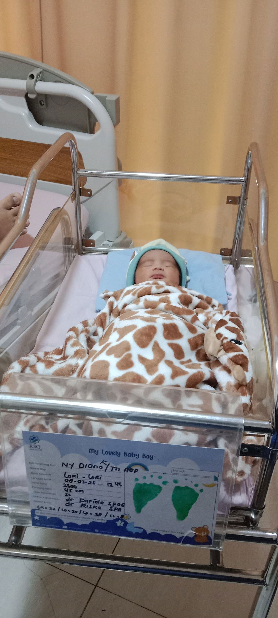 Safinah profile icon