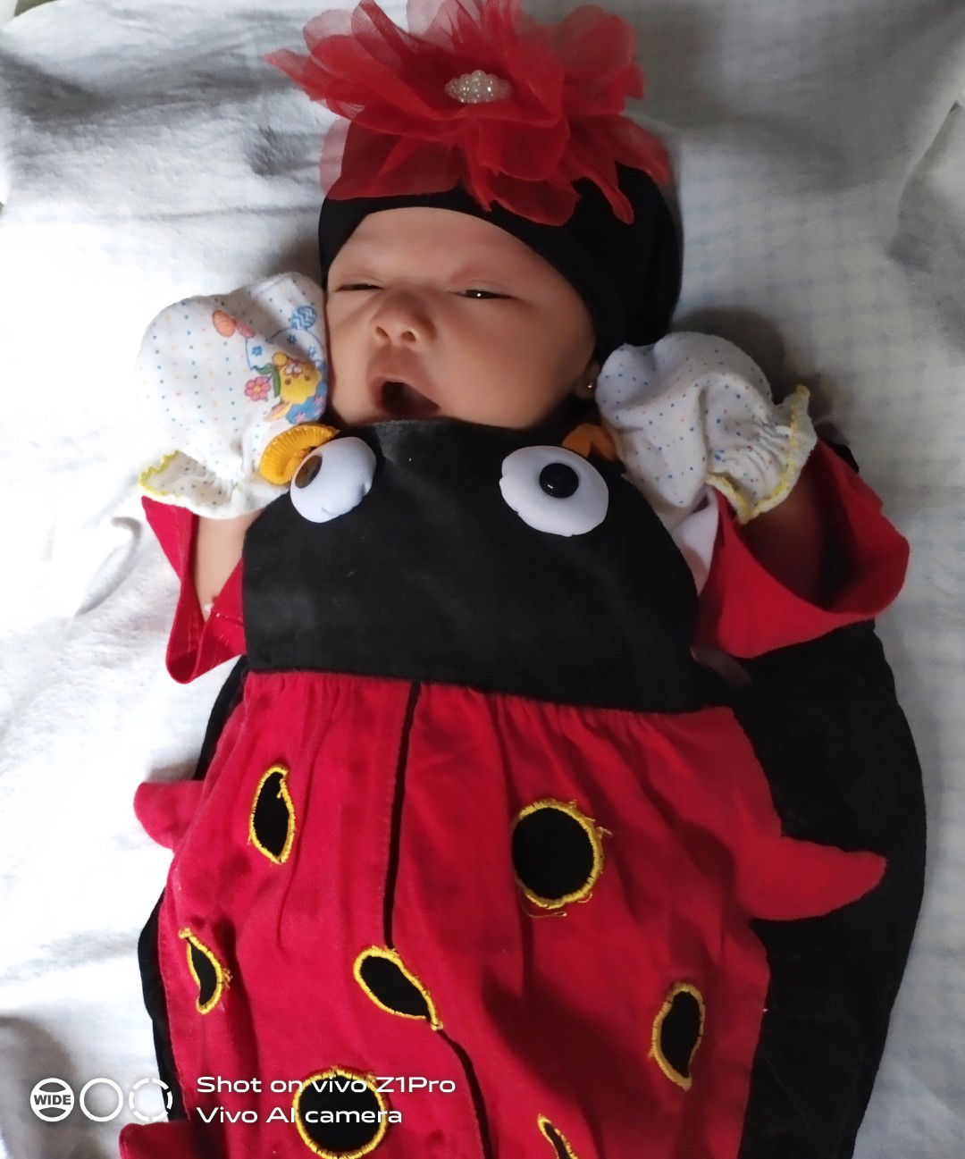 ayu agustin profile icon