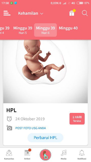 kehamilan