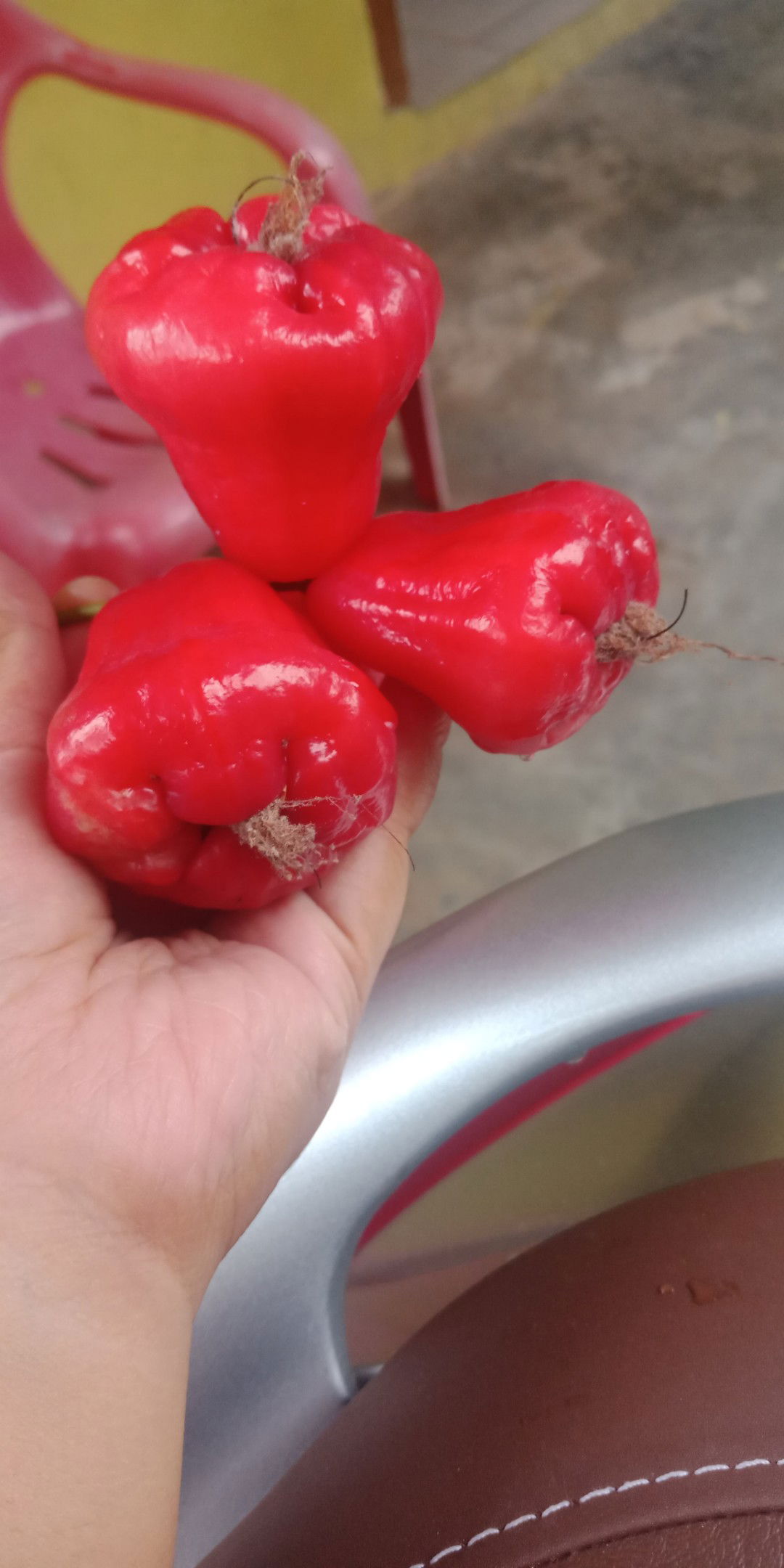 Nike Mariska profile icon