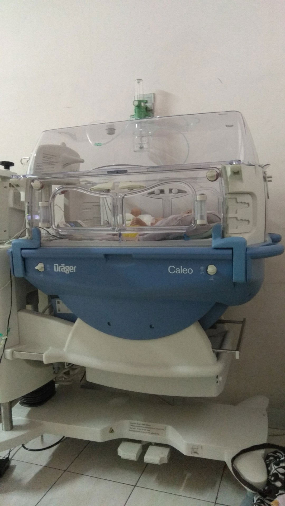 Cerita Tentang Rasa Terima Kasih Ku Pada Anak