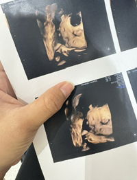 mamipola profile icon