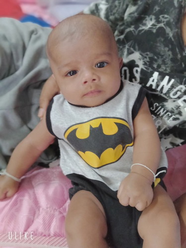 น้องปีโป้