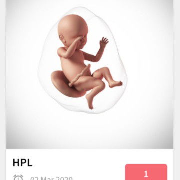 hamil 39 Week