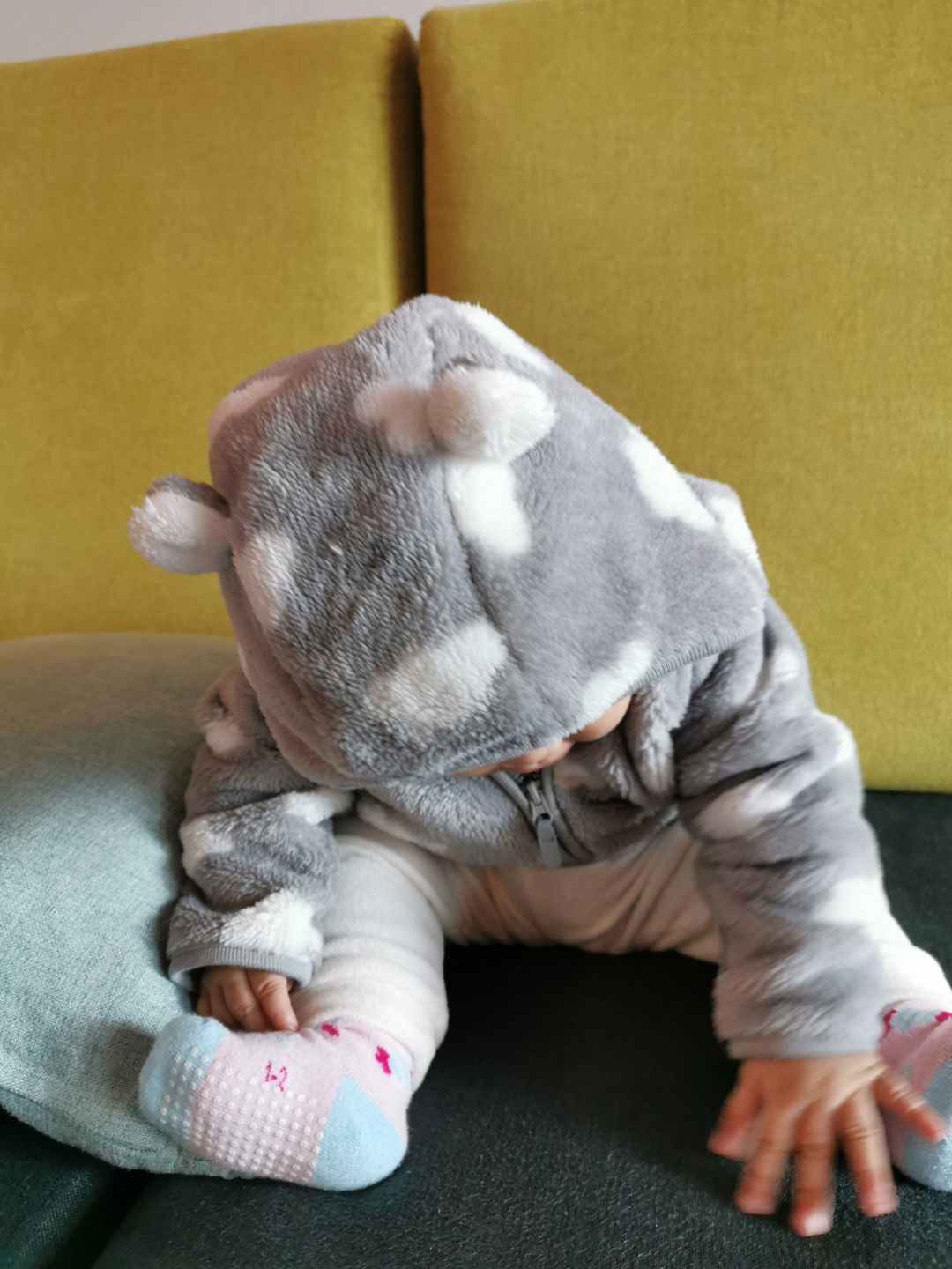 Firsttimemom profile icon