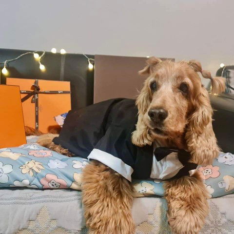 Nattakan profile icon