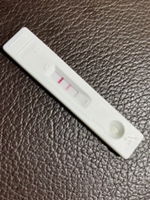 Chelsea P. Castro profile icon