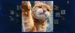 na bat profile icon