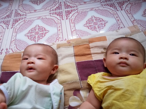 น้องแฝด
