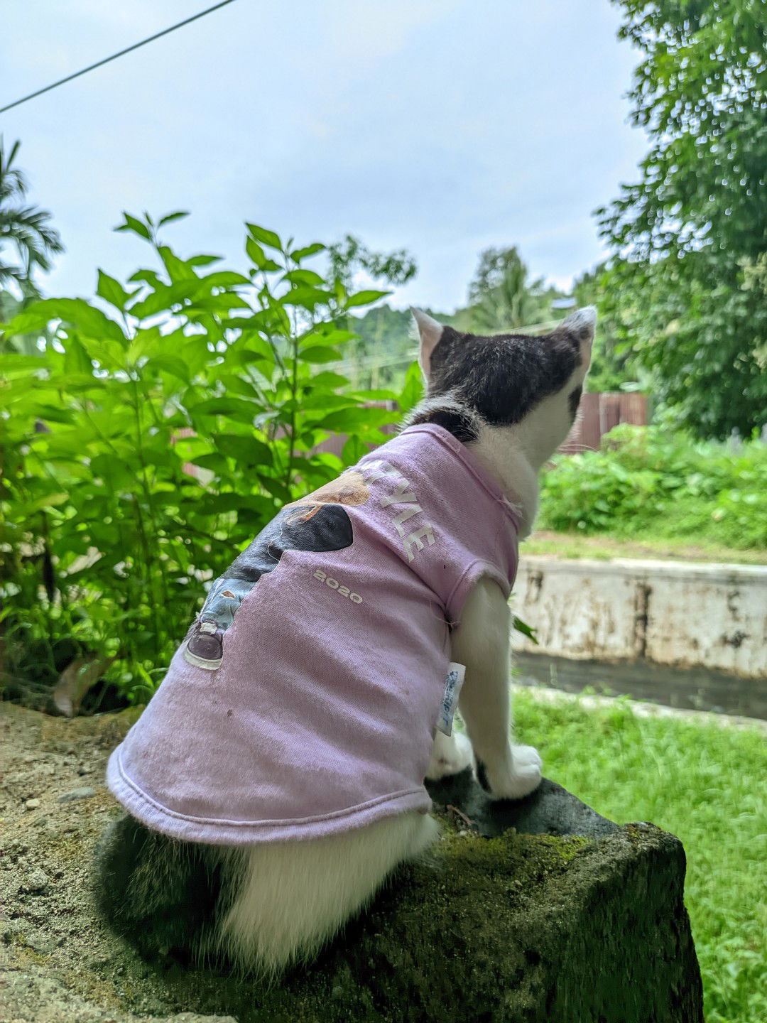 Putri Ayani profile icon