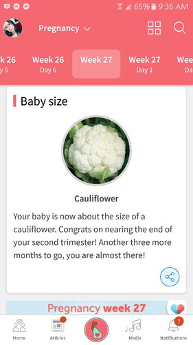 27weeks