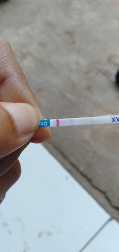 merencanakan kehamilan