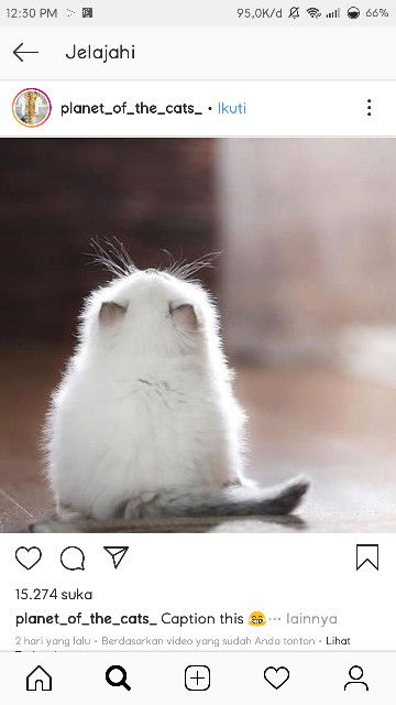 Sheli Martini profile icon