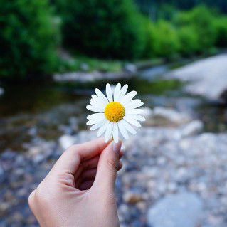 Nisa Oktafiani profile icon