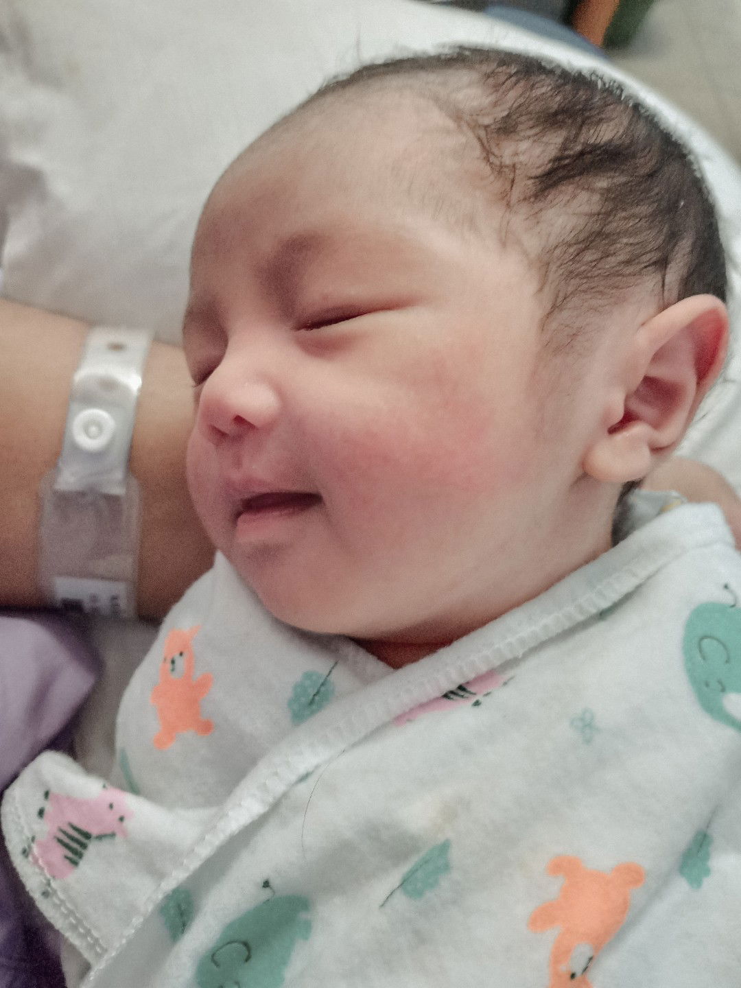 Ton Fern profile icon