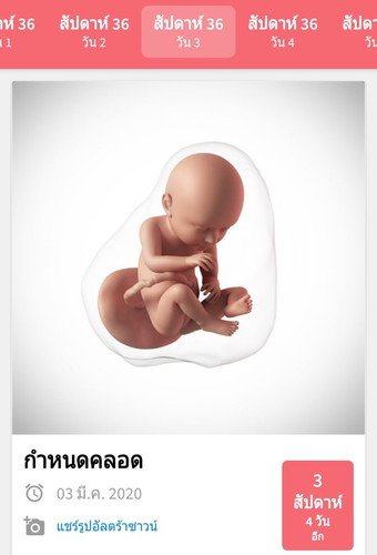36 สัปดาห์ ปากมดลูกขยาย