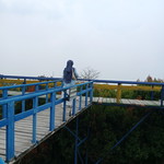 Halimah Alydrus profile icon