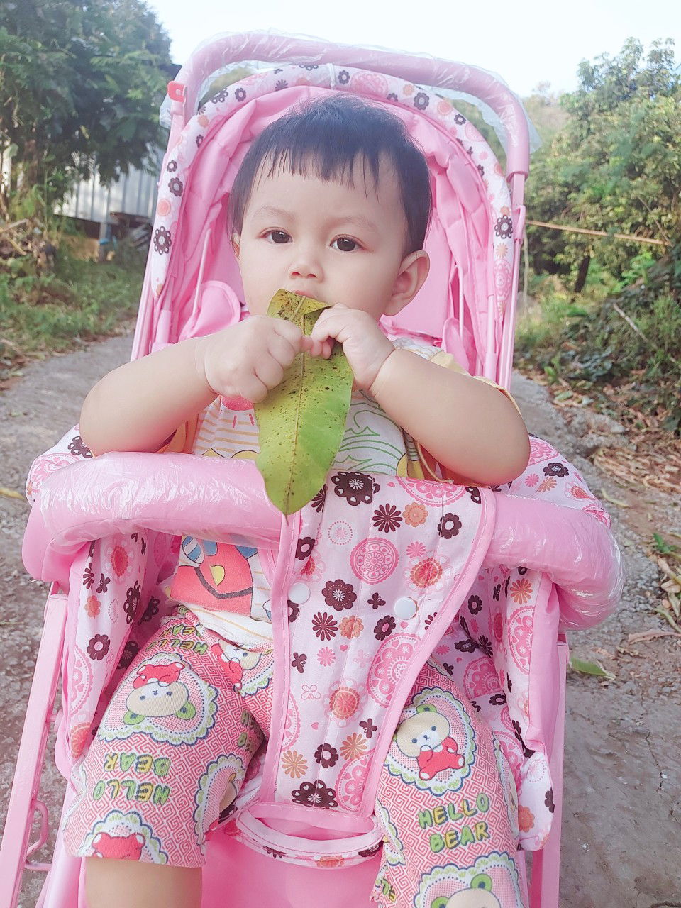 Kig Pawina profile icon