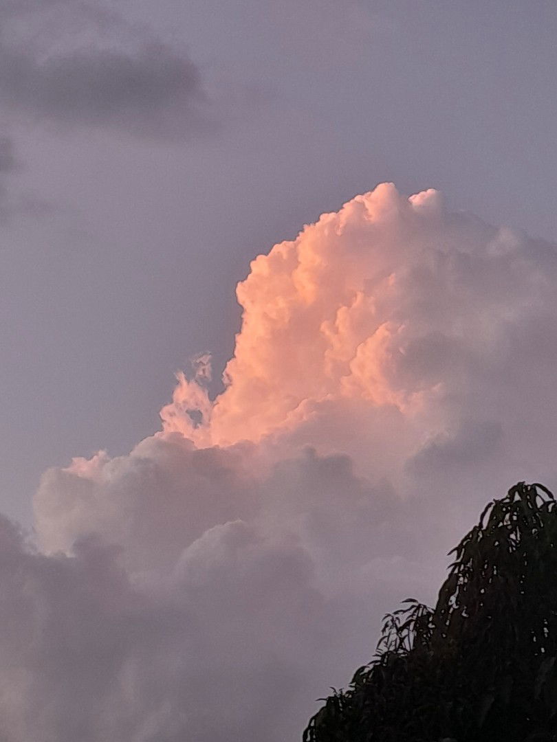 Gara's Mom profile icon