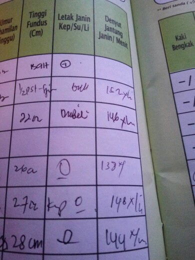 kehamilan