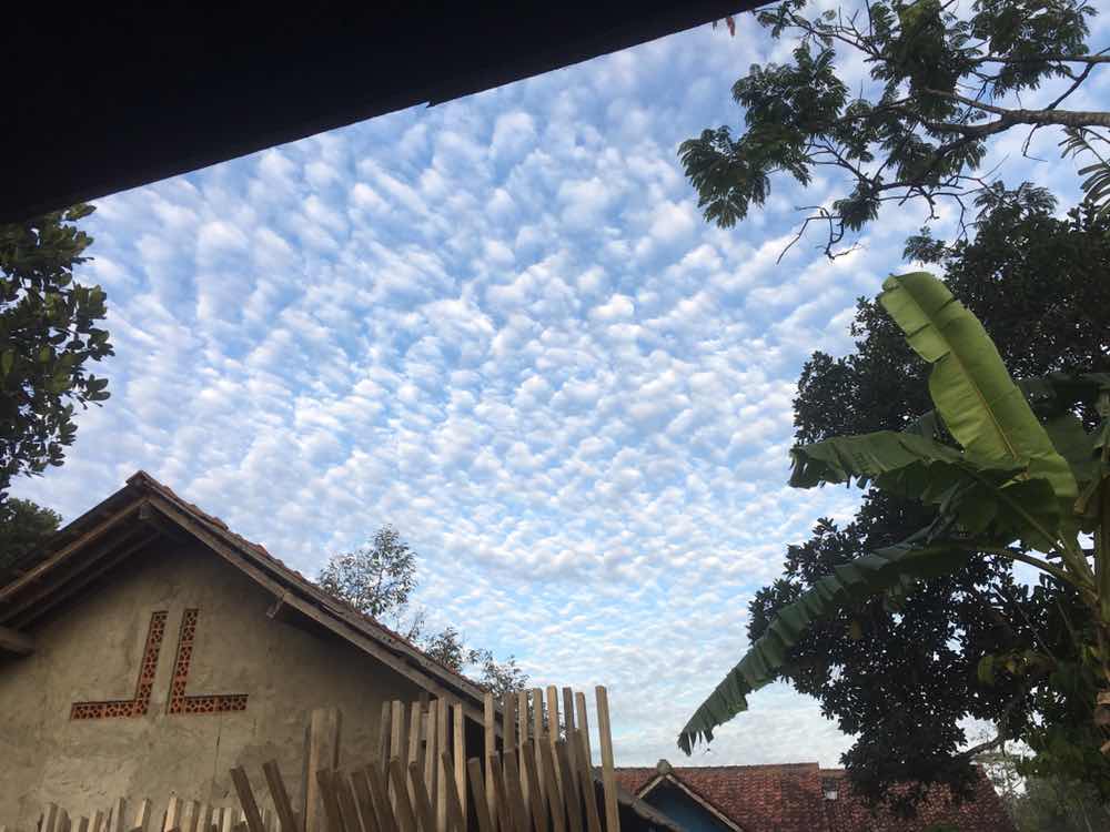 Choiria profile icon