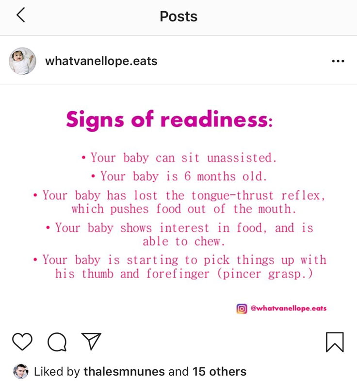 Vegan Baby Recipes and BLW Tips