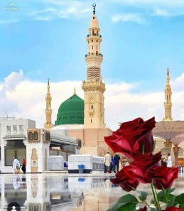 Medina Kusumah profile icon