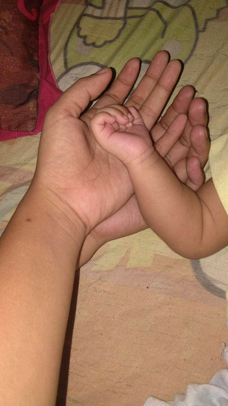 Fera Nuraini profile icon