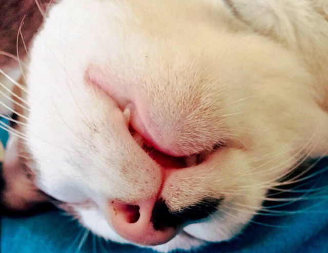 Pradthana profile icon