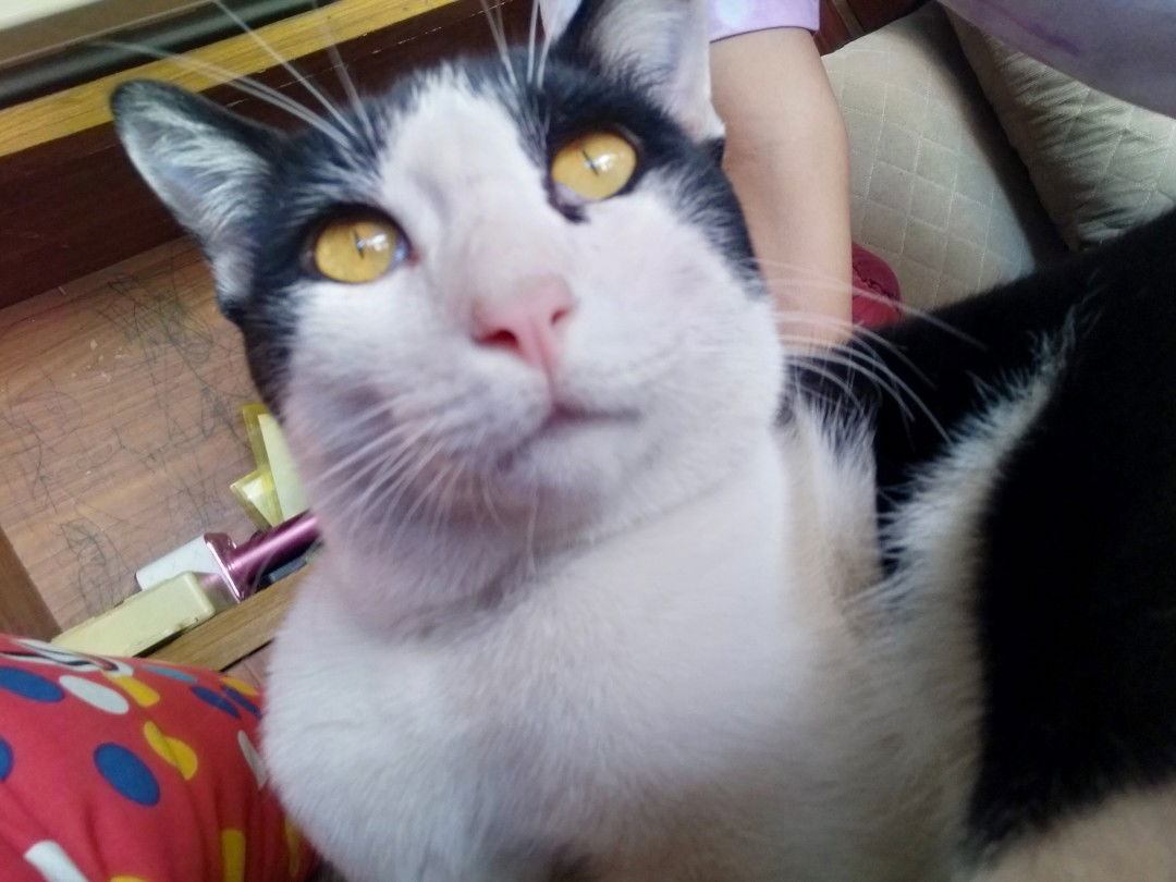 คุณแม่ลูก3 profile icon