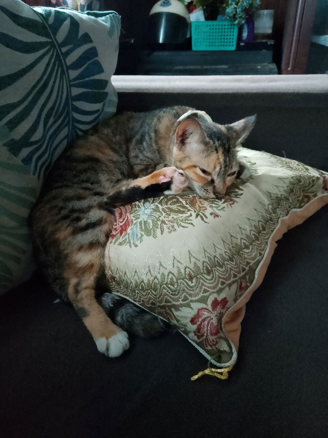 Farisha profile icon