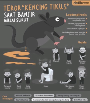 WASPADA LEPTOSPIROSIS