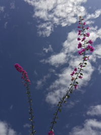 El Zayyan profile icon