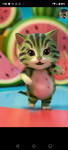Nor-aisah Ampatua profile icon