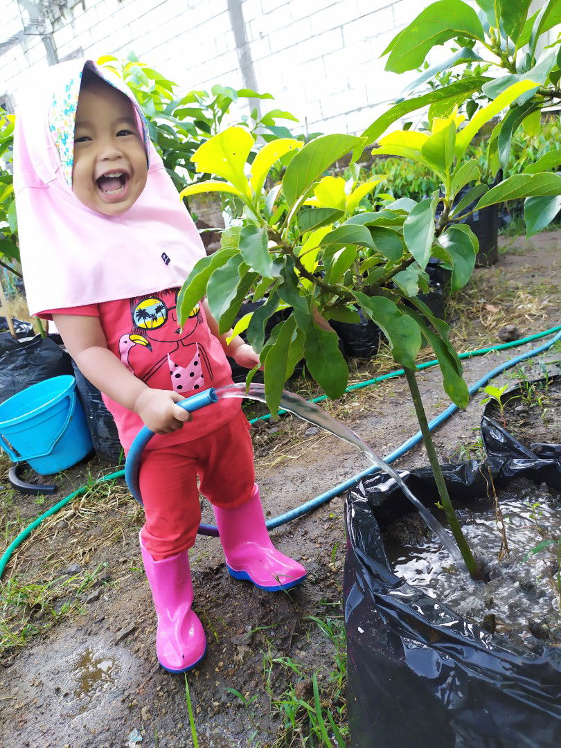 kegiatan stay di rumah