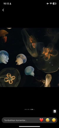 Winari Janayu profile icon