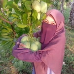 lina prasetya profile icon