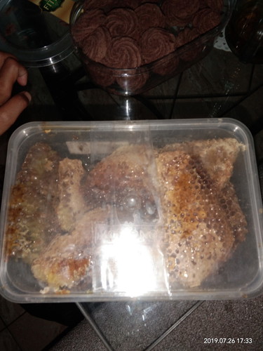 Madu sarang