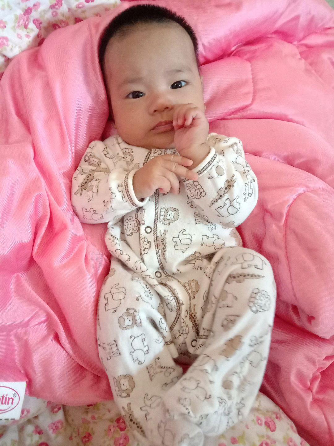 เฉาก๊วย น้ำเชื่อม profile icon