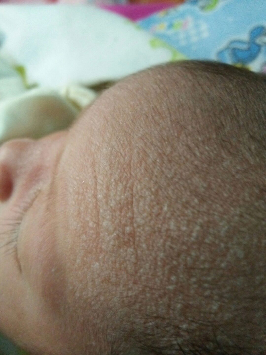 mama baru butuh jawaban