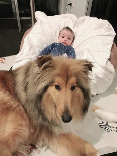 เพื่อนซี้ 4ขา น้องข้าใครอย่าแตะ😝